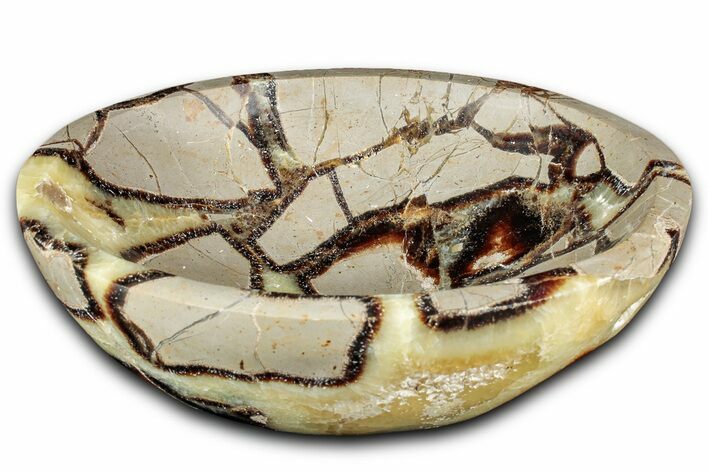 Polished Septarian Dish - Madagascar #337219